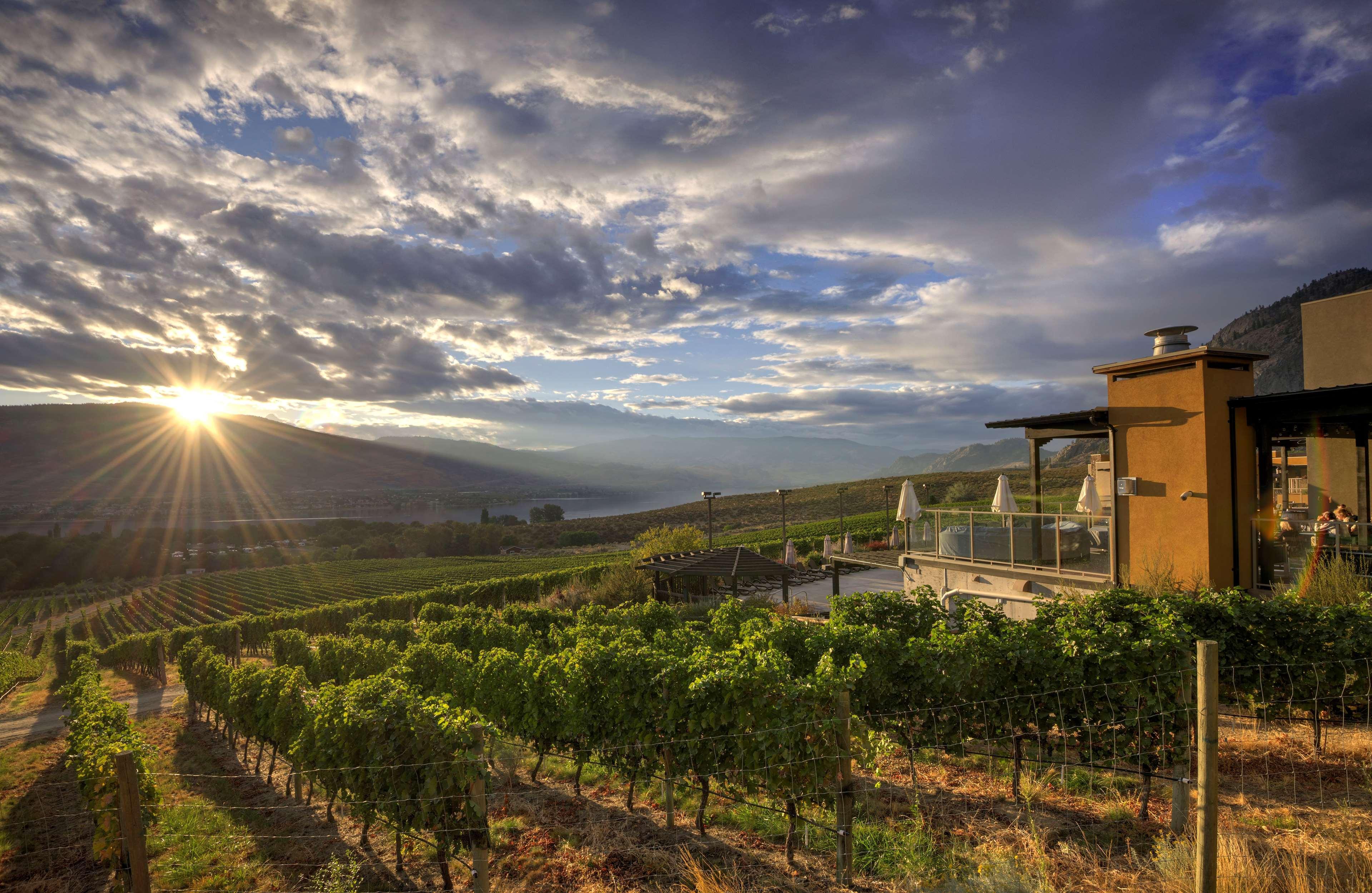 Hotel Spirit Ridge, In The Unbound Collection By Hyatt Osoyoos Zewnętrze zdjęcie